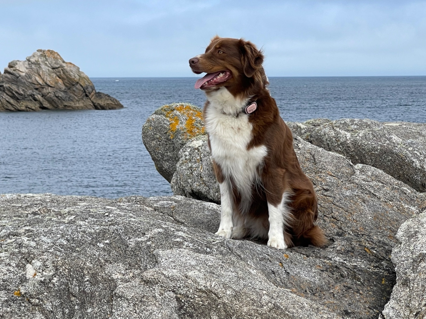 Topaze dit Tiam (Sans Affixe)